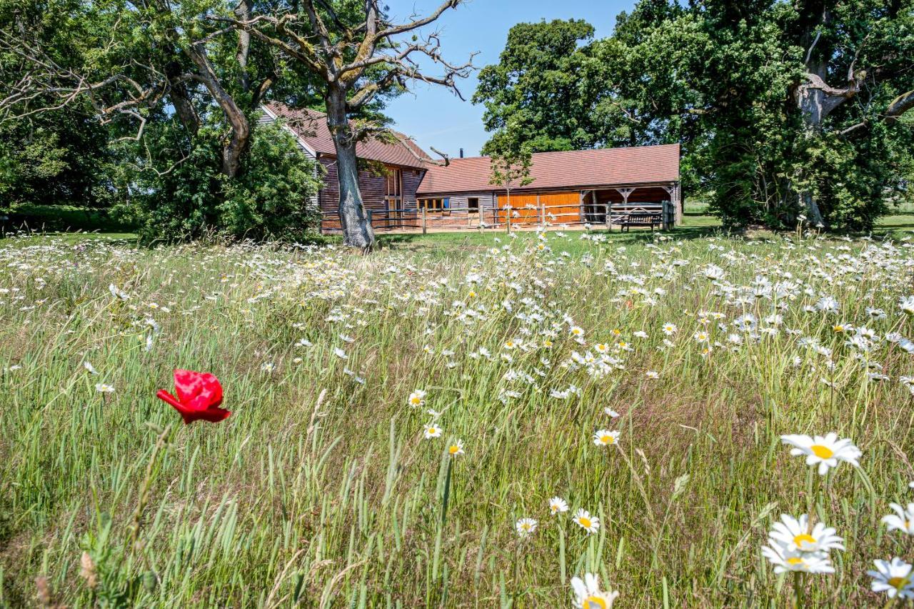 アンドーヴァー South Park Farm Barn Bed & Breakfast エクステリア 写真