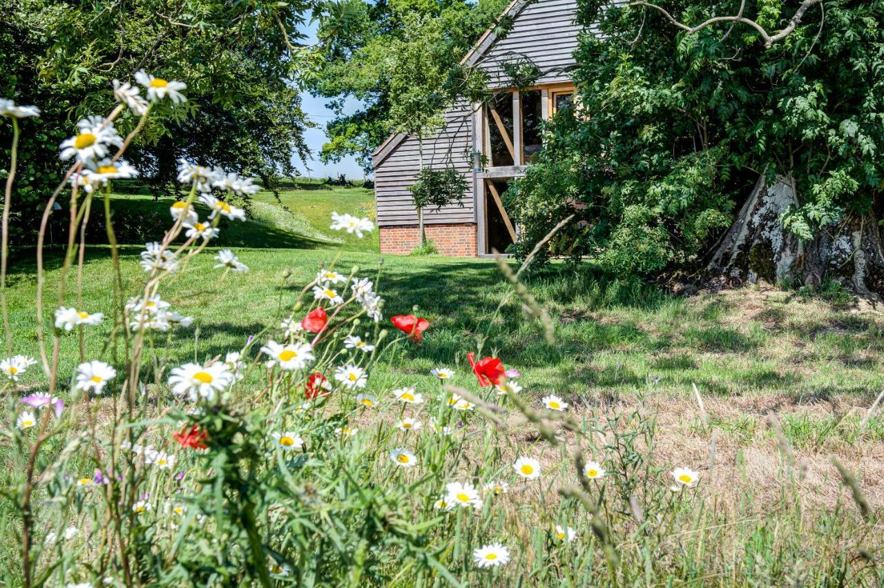 アンドーヴァー South Park Farm Barn Bed & Breakfast エクステリア 写真